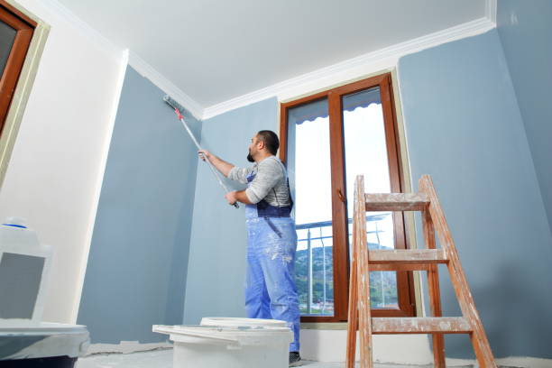 Best Mold Remediation for Healthcare Facilities  in Riverton, WY