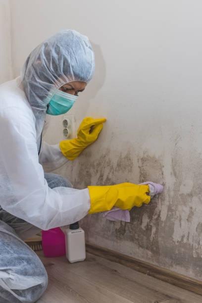 Best Residential Mold Inspection & Testing  in Riverton, WY