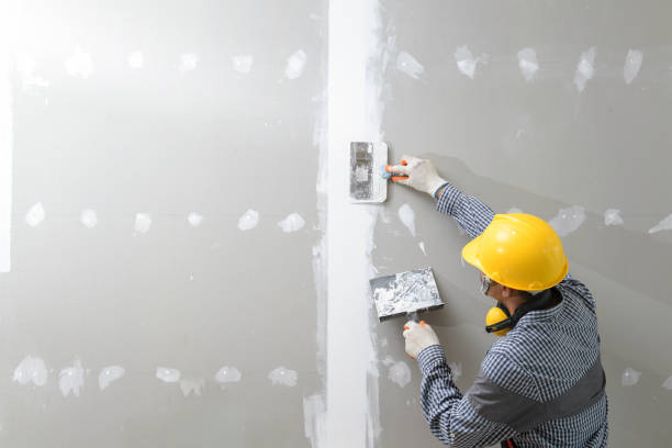 Best Forensic Mold Investigation  in Riverton, WY