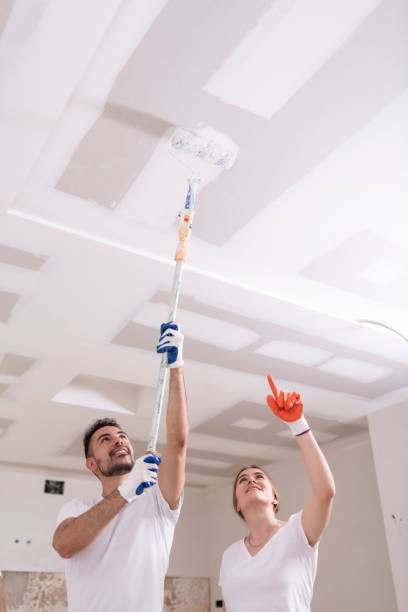Dehumidification Services in Riverton, WY