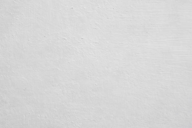 Mold Remediation for Rental Properties in Riverton, WY