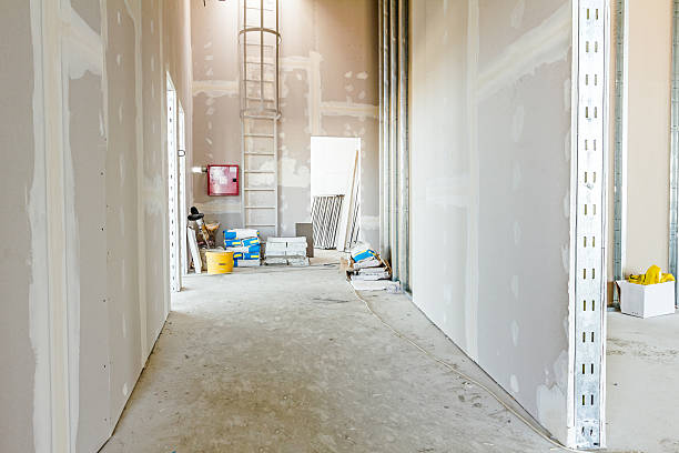Best Black Mold Removal  in Riverton, WY