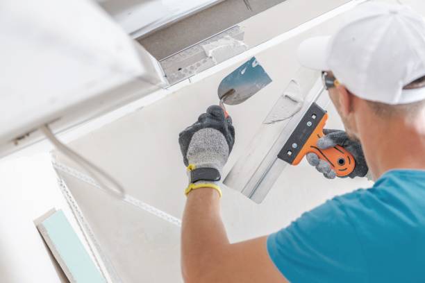 Best Basement Mold Removal  in Riverton, WY